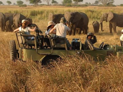 Game Viewing in Kidepo